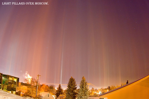 12 Craziest Things in Nature